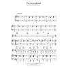 The Accordionist